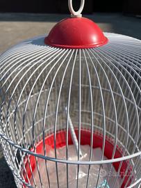 Gabbia tonda per uccellini