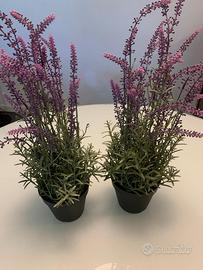 2 vasi lavanda artificiale