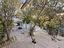Immagine 12