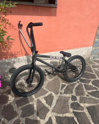 Bmx subrosa