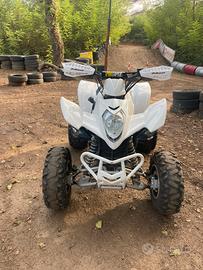 Quad kimko maxxer 300