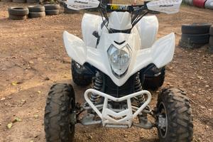 Quad kimko maxxer 300