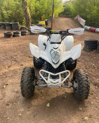 Quad kimko maxxer 300