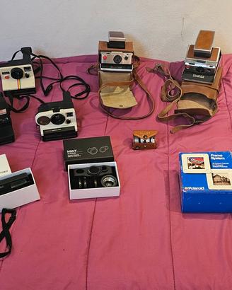 Collezione Polaroid