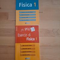 gli spilli fisica 1 esercizi e teoria 