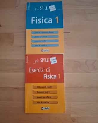 gli spilli fisica 1 esercizi e teoria 