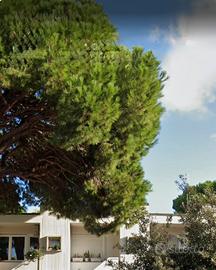 Appartamento Principina mare