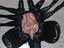 Immagine 4