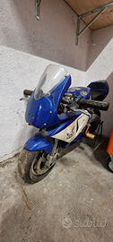 Minimoto replica polini