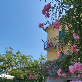 Last minute appennino modenese Zocca Montombraro