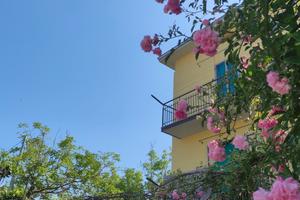 Last minute appennino modenese Zocca Montombraro