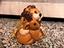Immagine 4