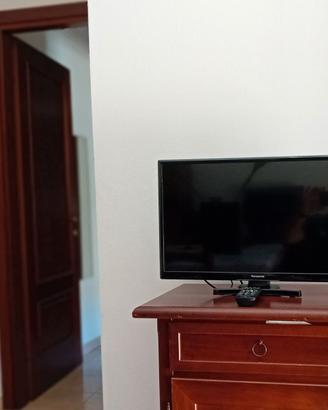 TV PANASONIC 24 POLLICI