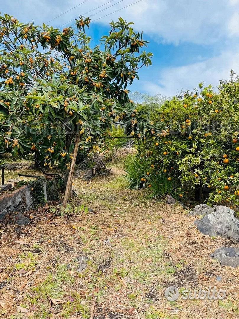 Terreno agricolo e deposito Fiumefreddo di Sicilia - Vista 3