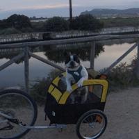 Carrellino bicicletta trasporto cani e oggetti