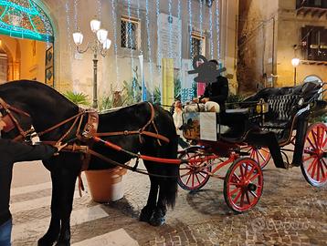 Carrozza calesse e finimenti