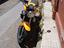 Immagine 1