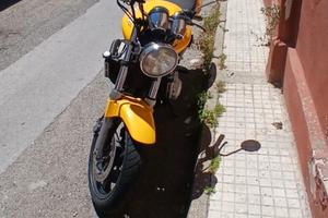 honda ornet