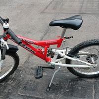 Bici bambino raggio 20