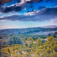 Terreno con unità collabente