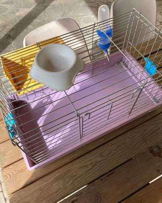 gabbietta per piccoli animali 