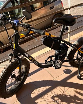 Bici elettrica