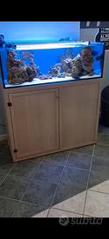 Acquario marino