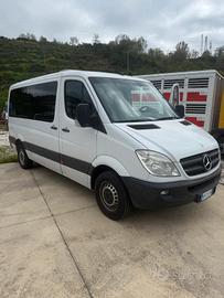 Mercedes sprinter 9 posti
