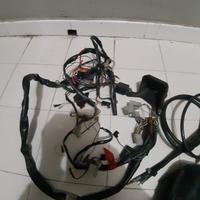 impianto elettrico  scarabeo 50 minarelli 