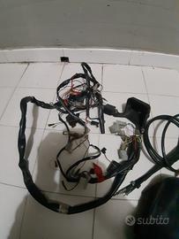 impianto elettrico  scarabeo 50 minarelli 