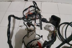 impianto elettrico  scarabeo 50 minarelli 