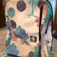 Zaini scuola (trolley) ragazzo / ragazza