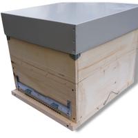 KIT ARNIA completo da montare privo di colle