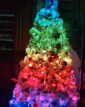 Albero di Natale e luci 