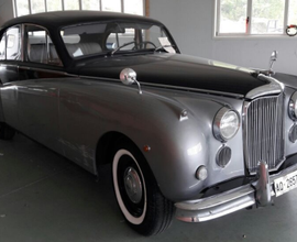 Jaguar in stato anno 1966