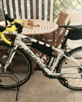 bici Specialized 49