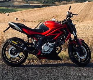 Suzuki Gladius 650