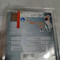 coppia elastici palestra