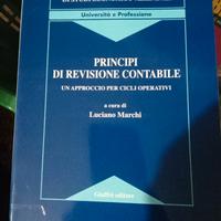 Principi di revisione contabile nuovo