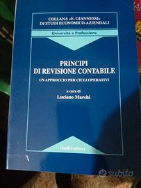 Principi di revisione contabile nuovo