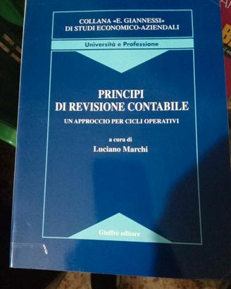 Principi di revisione contabile nuovo