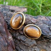 Orecchini pietre occhio di tigre argento 835