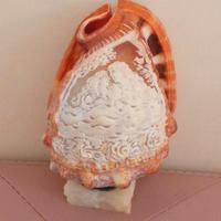 Conchiglia incisa