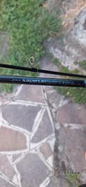 canna da pesca daiwa
