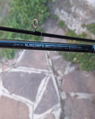 canna da pesca daiwa