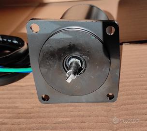 Motorino trim nuovo F80/100 Yamaha carburato