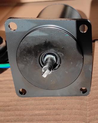 Motorino trim nuovo F80/100 Yamaha carburato