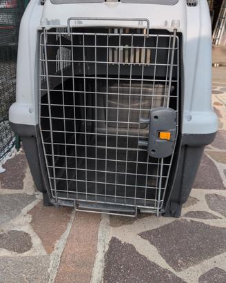 trasportino kennel per auto