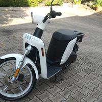 Askoll eS pro ELETTRICO - 2018