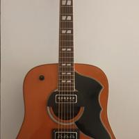 Chitarra Eko Ranger VR Franckenstine Custom